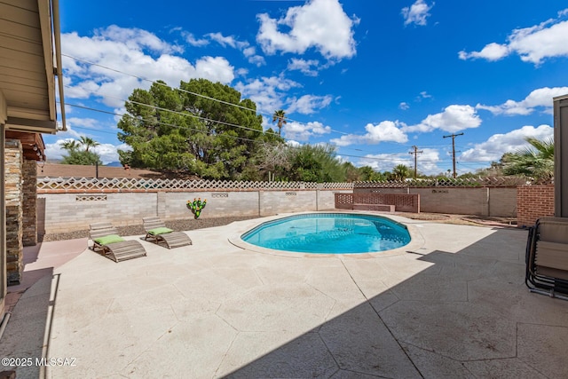 view of swimming pool with a fenced backyard and a patio