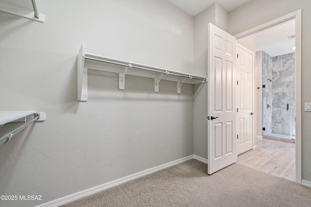 6909 W Cliff Spring Trl, Marana, AZ 85658 - walk in closet with carpet floors