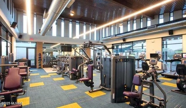 workout area featuring a high ceiling and carpet floors