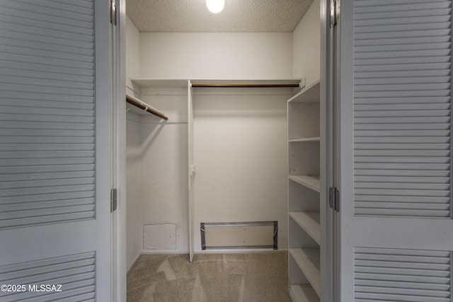 spacious closet featuring carpet floors