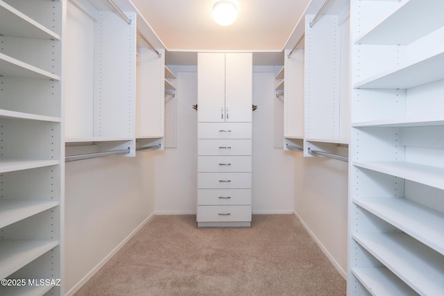 spacious closet featuring carpet
