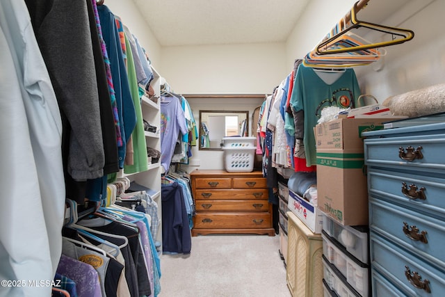 spacious closet with carpet flooring