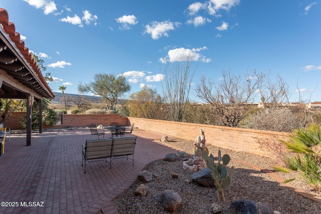 view of yard with a fenced backyard and a patio