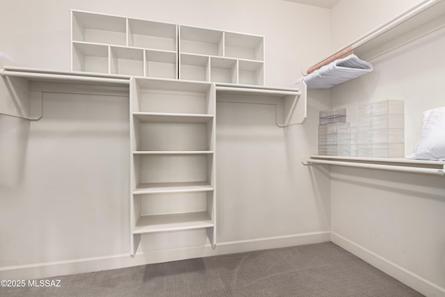 spacious closet featuring carpet flooring