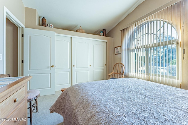 carpeted bedroom with a closet, multiple windows, and lofted ceiling