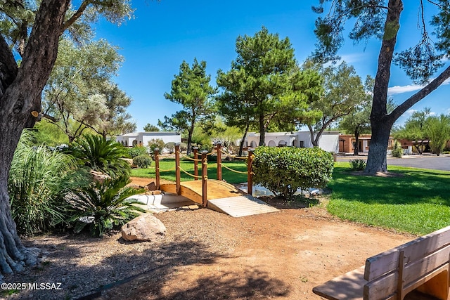 view of community with a yard