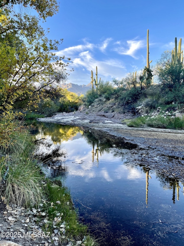 view of water feature