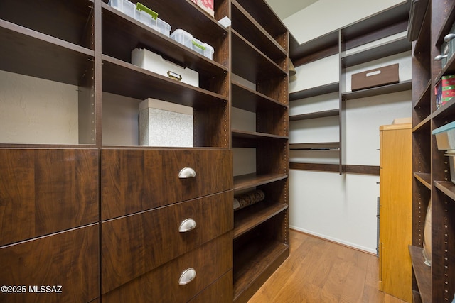 spacious closet featuring wood finished floors