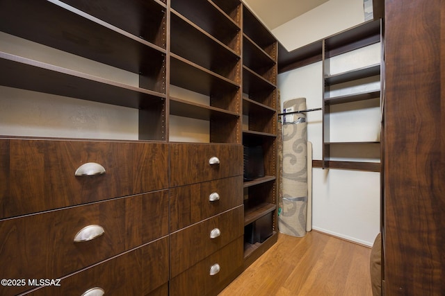 walk in closet featuring wood finished floors