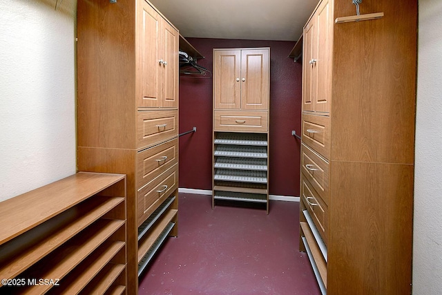 view of spacious closet