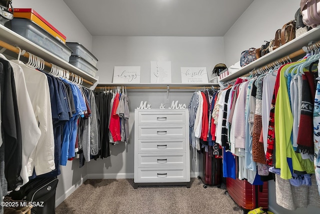 walk in closet with carpet flooring