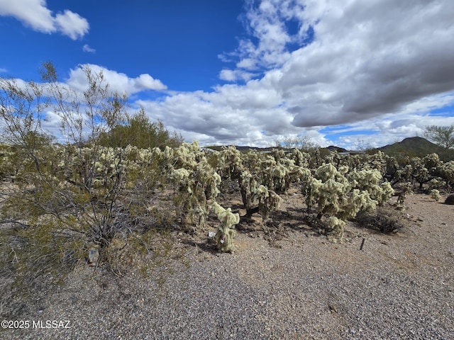 4145 S Canusa Pl Unit 7, Tucson, AZ 85735
