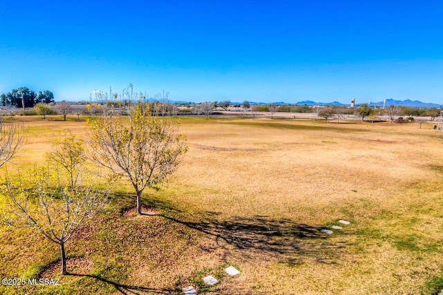 view of yard with a rural view and a mountain view