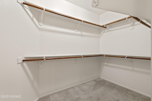 spacious closet featuring light colored carpet