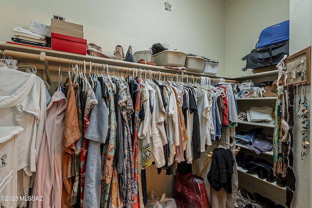 view of walk in closet