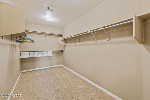spacious closet featuring visible vents and carpet floors