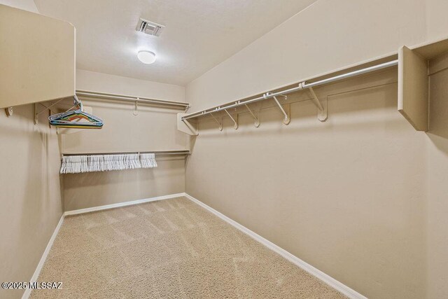 spacious closet featuring visible vents and carpet floors