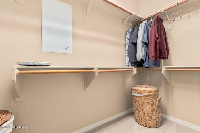 walk in closet featuring carpet flooring