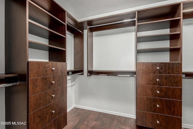 walk in closet featuring dark wood-type flooring