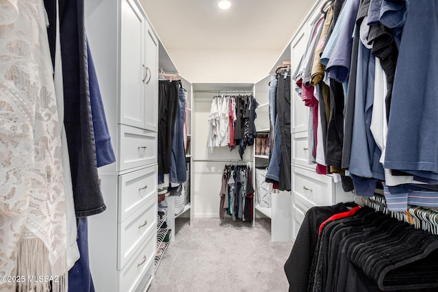 walk in closet with light carpet