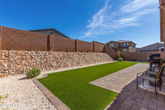 view of yard with a patio area and a fenced backyard