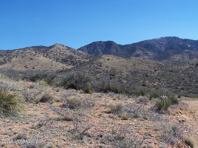 36.58AC W Four Feathers Loop Unit 69, Willcox AZ, 85643 land for sale