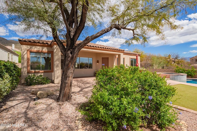 view of front of house featuring stucco siding, a patio, a pool with connected hot tub, and a tile roof