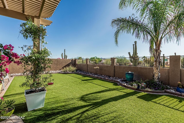 8707 N Ash Grove Ct, Tucson, AZ 85742 - view of fenced backyard