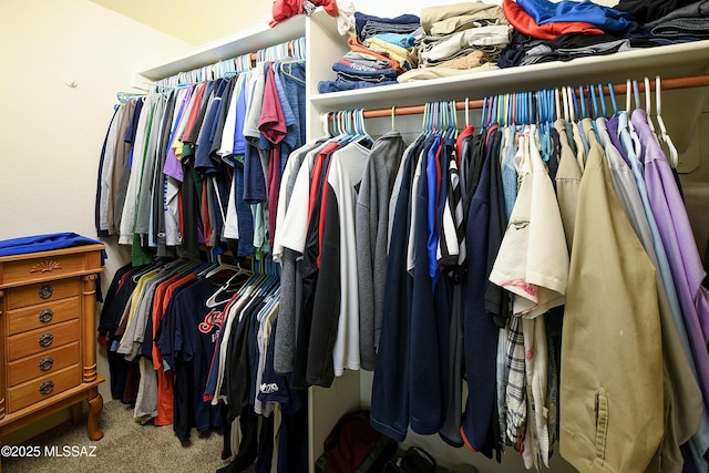 walk in closet featuring carpet flooring