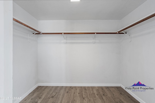 walk in closet featuring wood finished floors