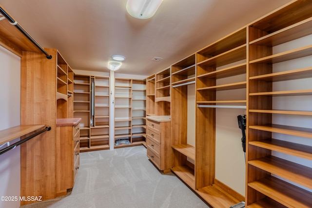 8060 E Diamondback Rd, Saint David, AZ 85630 - spacious closet with light colored carpet