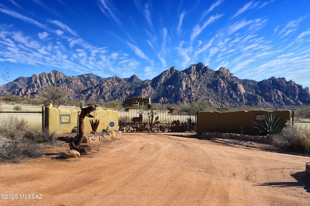 8060 E Diamondback Rd, Saint David, AZ 85630 - view of mountain feature