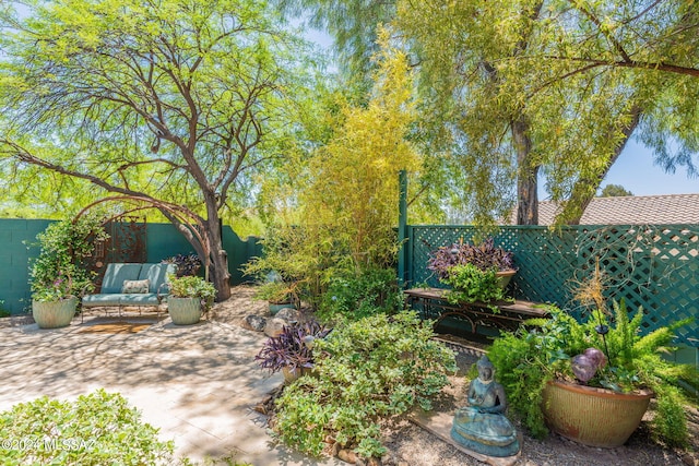 view of yard featuring a patio area and a fenced backyard