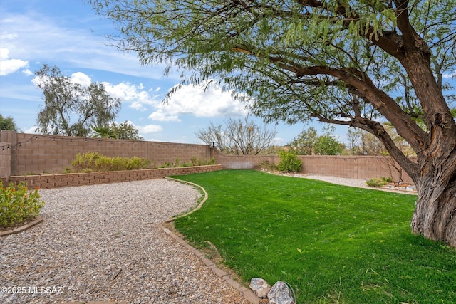 view of yard with a fenced backyard