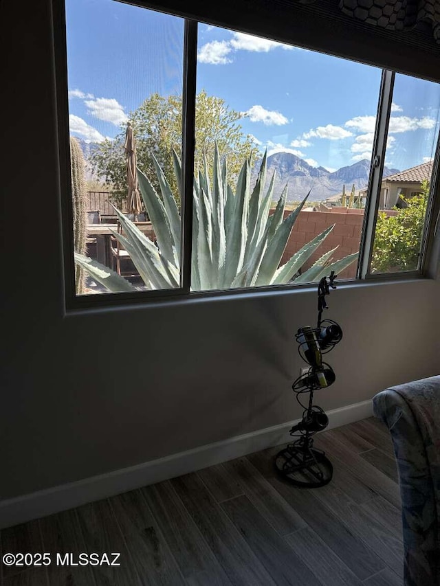 interior details with wood finished floors, a mountain view, and baseboards