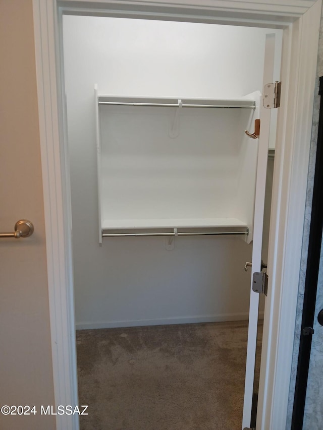 walk in closet featuring carpet floors