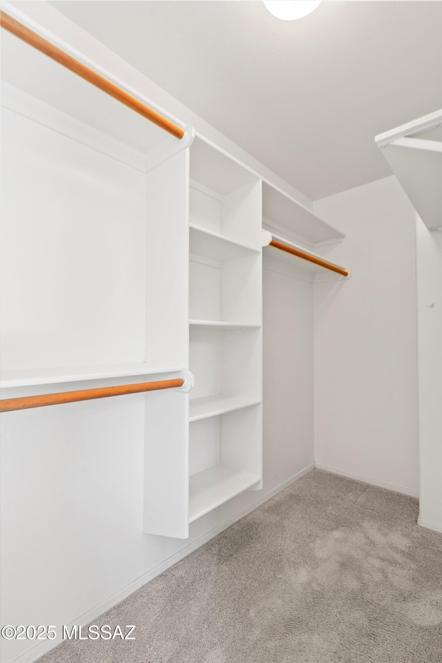 walk in closet with carpet