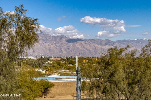 view of mountain feature