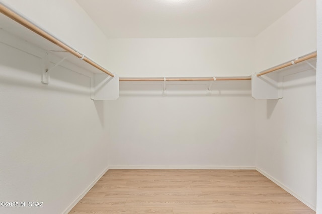 spacious closet featuring light wood-type flooring