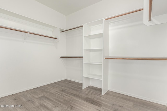 spacious closet featuring wood finished floors