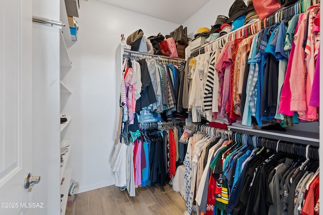 3337 E Wet Sand Pl, Vail, AZ 85641 - spacious closet with wood finished floors