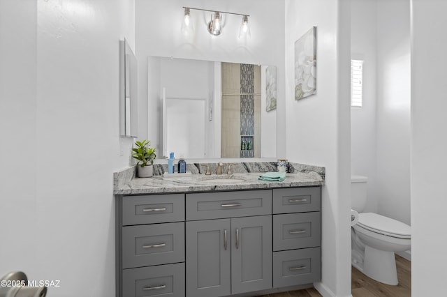 3337 E Wet Sand Pl, Vail, AZ 85641 - bathroom featuring toilet, wood finished floors, and vanity