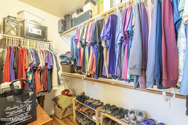 walk in closet featuring wood finished floors