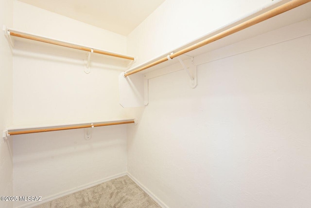 walk in closet with light colored carpet