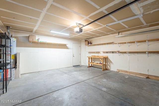 garage featuring gas water heater and a garage door opener