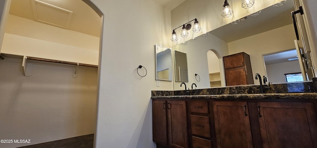 full bathroom featuring a sink, a walk in closet, and double vanity