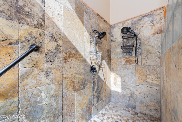 interior details with tiled shower