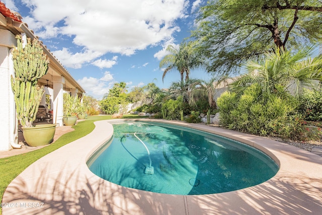 view of swimming pool