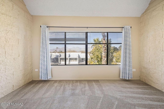 empty room with a textured ceiling, carpet, and vaulted ceiling