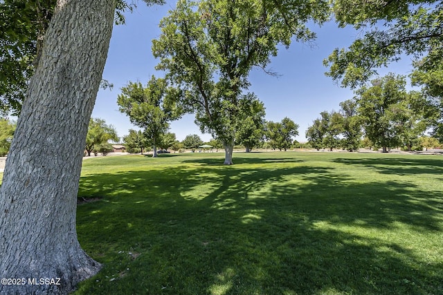 view of community featuring a yard